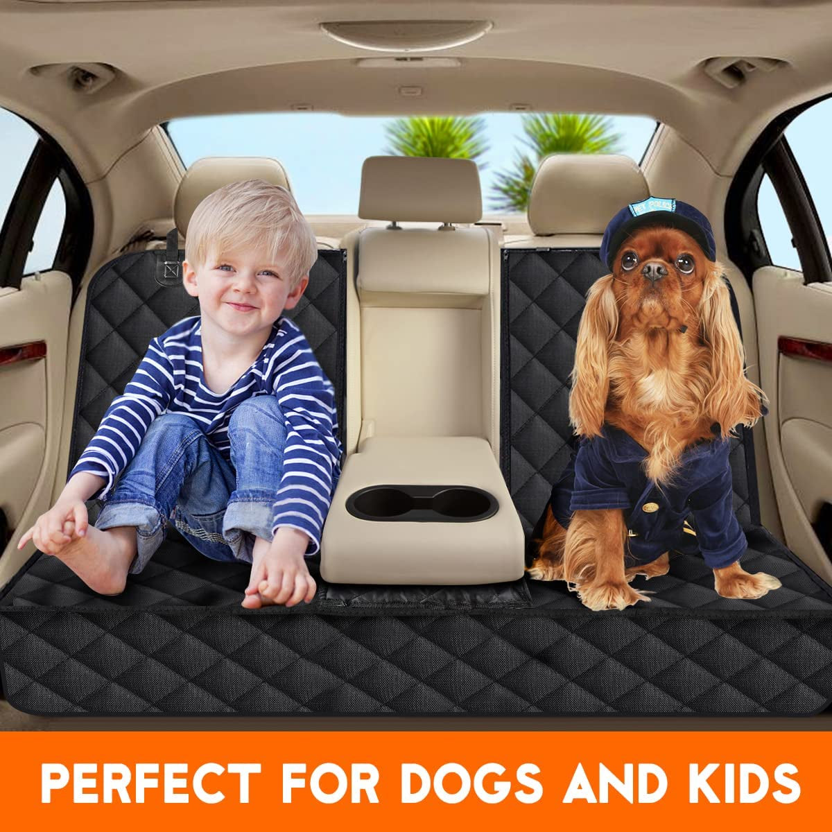 PetProtect