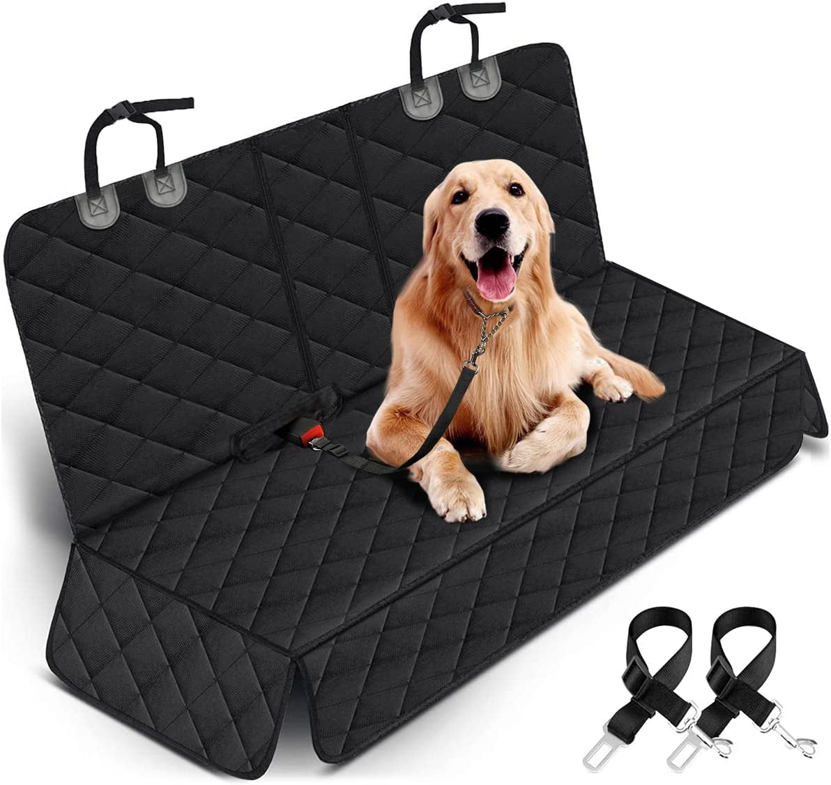 PetProtect