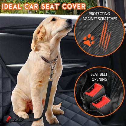 PetProtect